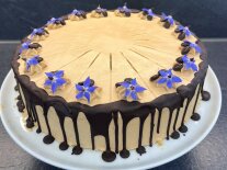 Eine Kaffeetorte, dekoriert mit Schokoglasur und essbaren Blüten